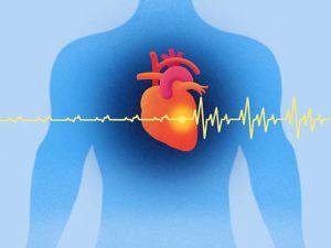 How to Keep Your Heart Healthy as You Age: Essential Tips for Lifelong Cardiovascular Wellness
