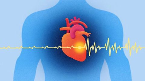 How to Keep Your Heart Healthy as You Age: Essential Tips for Lifelong Cardiovascular Wellness