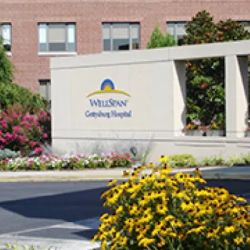 WellSpan Gettysburg Hospital Heart Center ico