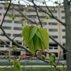 Penn State Health West Campus Health and Wellness Center ico