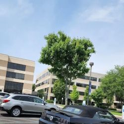 St. Mary Medical Center ico