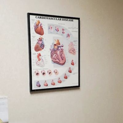 Medicor Cardiology