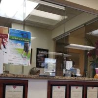 American Heart Center PC