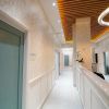 dr robert segal nyc