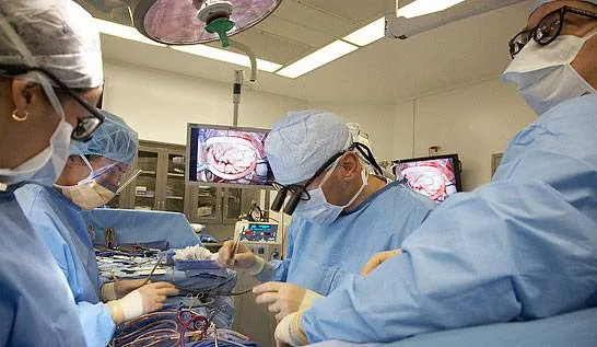 Mitral Valve Repair Center at the Mount Sinai Health System 0