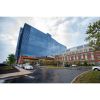 stamford health endocrinology