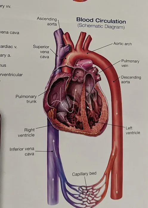 Hari Subramanian, MD 0