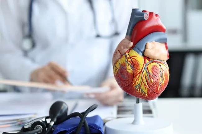 Heart and Vascular Care 2