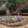 emory heart & vascular center at clifton campus