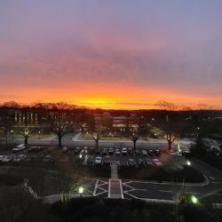 Tanner Medical Center/Carrollton ico