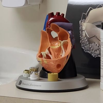 Alexian Brothers Cardiovascular And Thoracic Surgeons