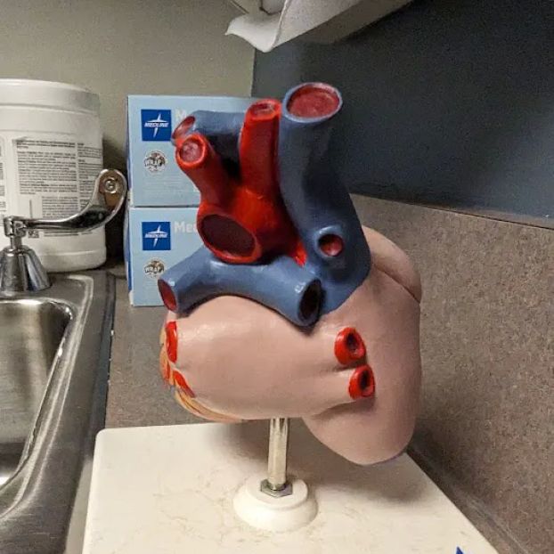 Illinois Cardiovascular Specialists