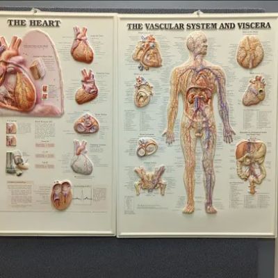 Advocate Heart Institute