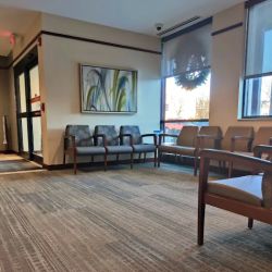 Elmhurst Heathcare Cardio ico
