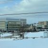rockford cardiology