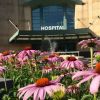 swedish american hospital in rockford il