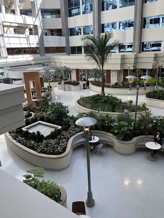 Centennial Heart Cardiovascular Consultants 3