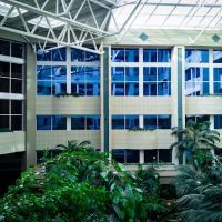 Centennial Heart Cardiovascular Consultants