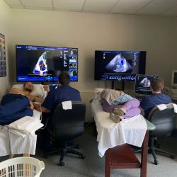 Middle Tennessee Cardiovascular Institute ico