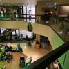 vanderbilt heart lebanon tn