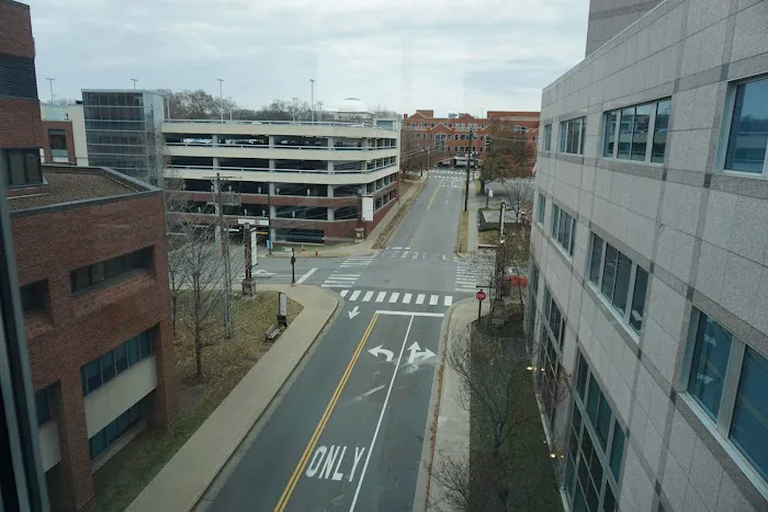 Vanderbilt Heart 3