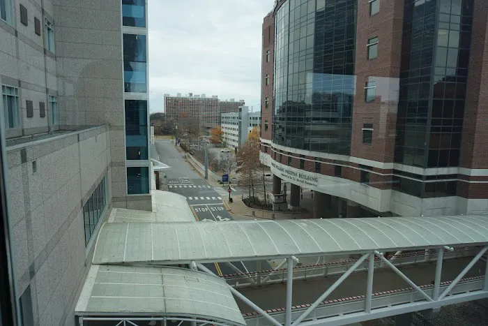 Vanderbilt Heart 8