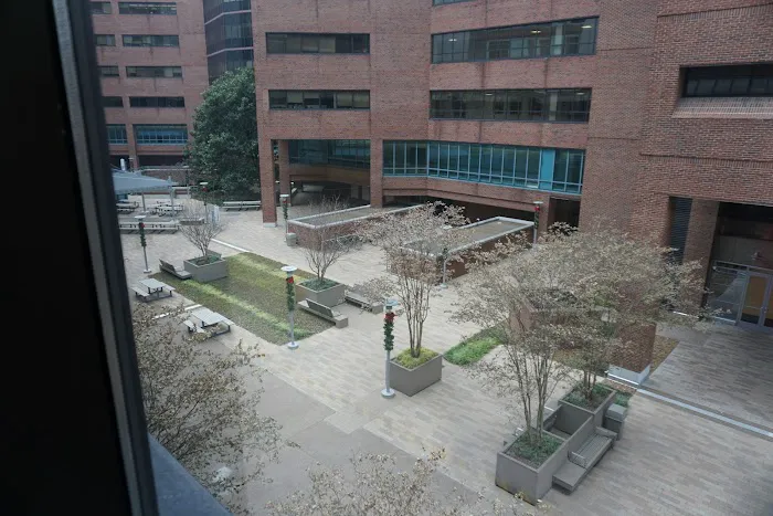 Vanderbilt Heart 6