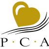 pacific cardiovascular associates medical group - long beach