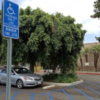 Cardiology Specialists of Orange County