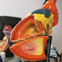 Glendale Heart Institute