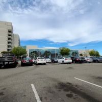 Harbor UCLA Medical Center Cardiology