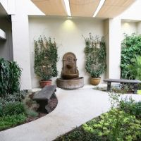 Cardiovascular Center at Dignity Health - Northridge Hospital Medical Center