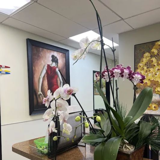 Khorsandi Mehran J MD