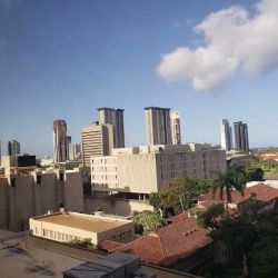 The Queen's Medical Center ico