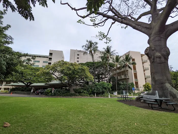 The Queen's Medical Center 1