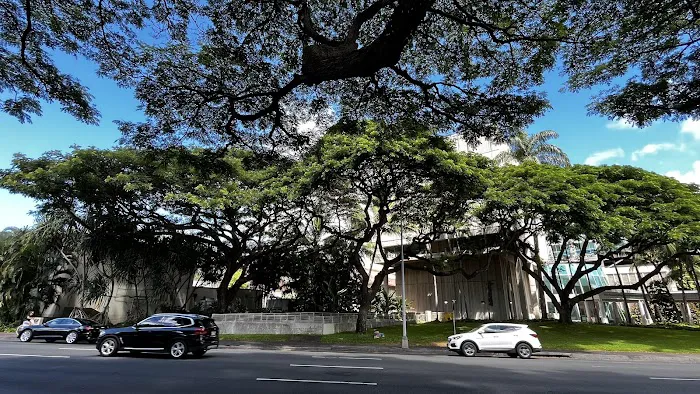 The Queen's Medical Center 4