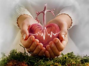 How to Protect Your Heart Health as You Age: Practical Tips for a Long, Healthy Life