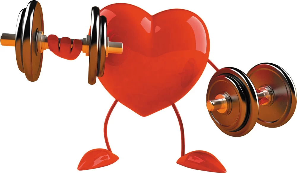 The Role of Exercise in Cardiovascular Health: Key Benefits for Your Heart