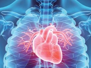 Book Online Consultations for Heart Disease Care: Easy Access to Expert Advice