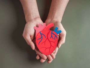 How to Protect Your Heart Health Through Healthy Habits: Essential Tips for a Long, Healthy Life