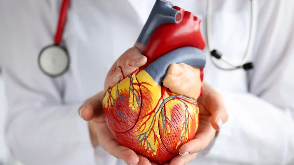 Find Cardiologists Near Me for Heart Disease Prevention and Care