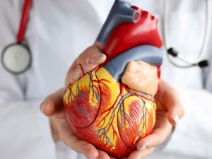 Find Cardiologists Near Me for Heart Disease Prevention and Care