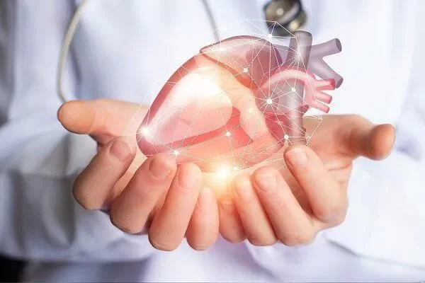 How to Find Certified Cardiologists Near You for Comprehensive Heart Care