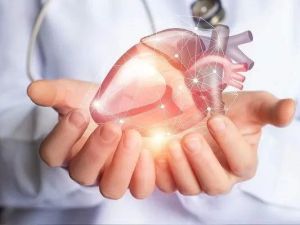 How to Find Certified Cardiologists Near You for Comprehensive Heart Care