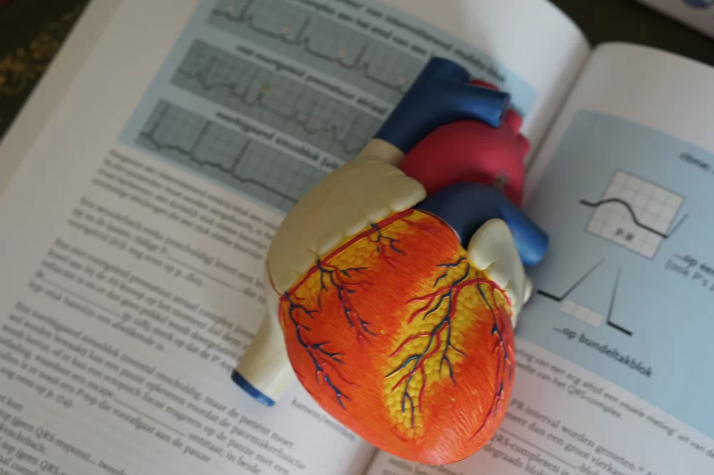 Understanding High Blood Pressure and Its Impact on Your Heart: A Complete Guide