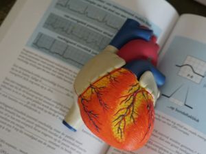Understanding High Blood Pressure and Its Impact on Your Heart: A Complete Guide