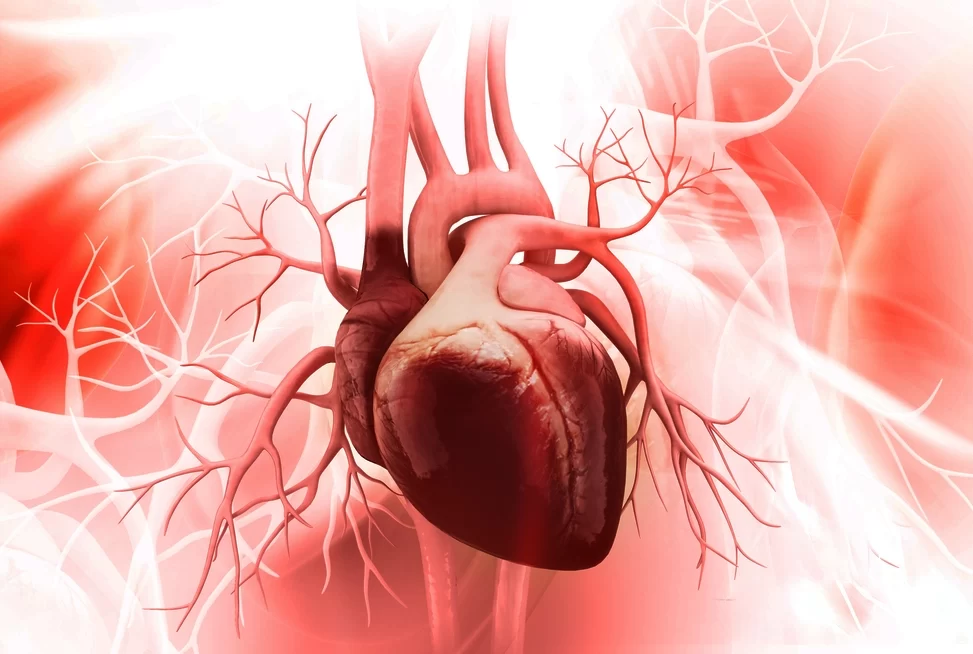 What to Expect During Heart Bypass Surgery: A Personal Journey