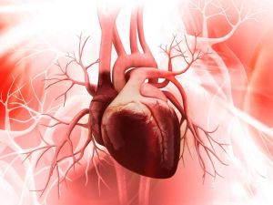 What to Expect During Heart Bypass Surgery: A Personal Journey