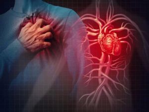 Understanding Heart Disease Risks and Effective Prevention Strategies