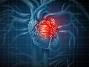 Why Men and Women Experience Heart Disease Differently: Key Differences and Insights